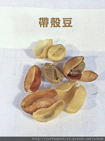 帶殼豆