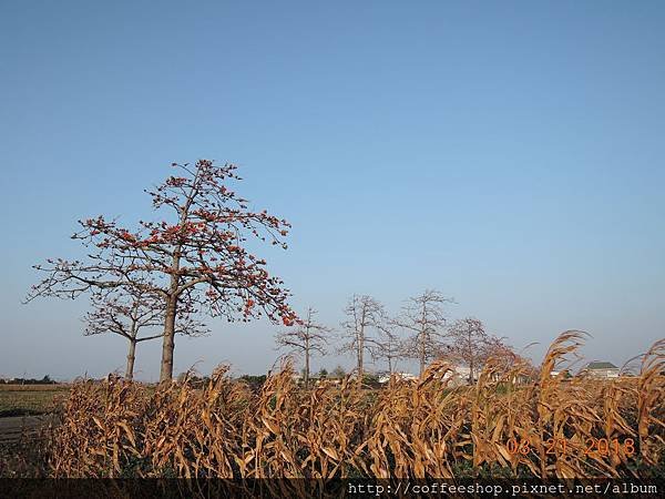 028走進田中泥地卻意外有著不同滴視野.JPG