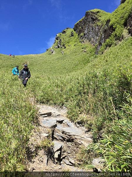 010好多山友經此道下山.坡度大約50起跳.上山走還口以.下山就比較傷膝蓋了.JPG