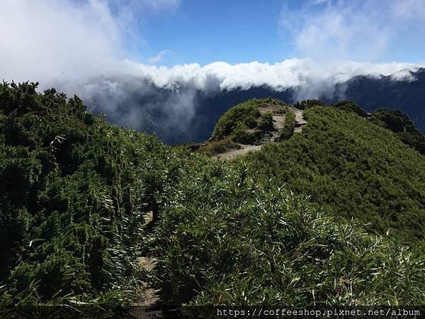 017這兒還藏有一條山陵線步道.JPG