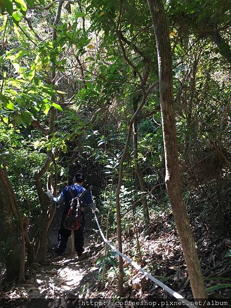 039在樹林區要跟緊~不然眼前就是整片綠油油.JPG