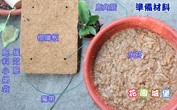 coir01.jpg