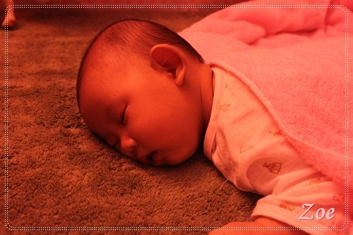 IMG_9132.JPG