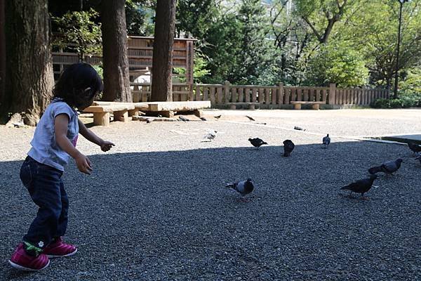2013-10-12-10-27-31-東京遊.JPG