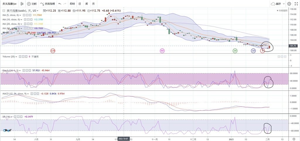 dxy.jpg