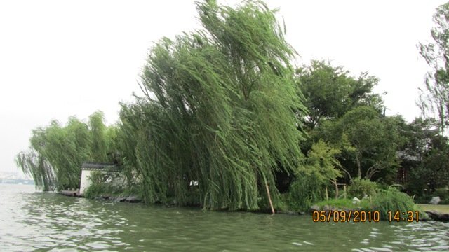 IMG_0492.jpg