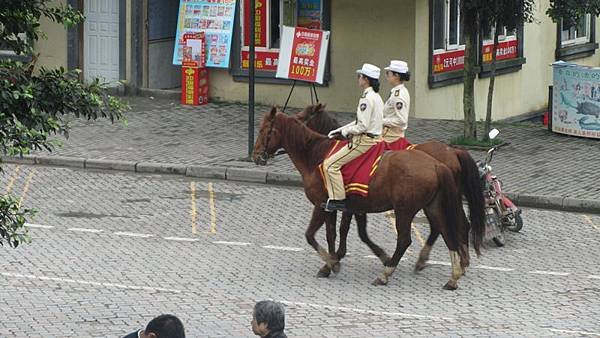 IMG_1142.JPG