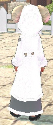mabinogi_2008_12_10_003.jpg