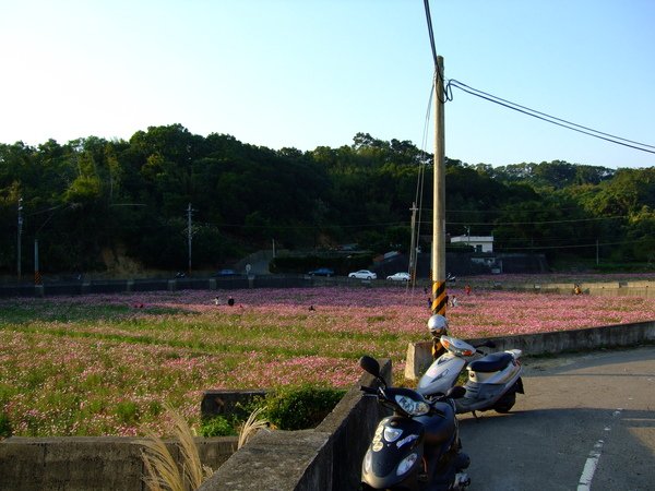 DSCF0008.JPG