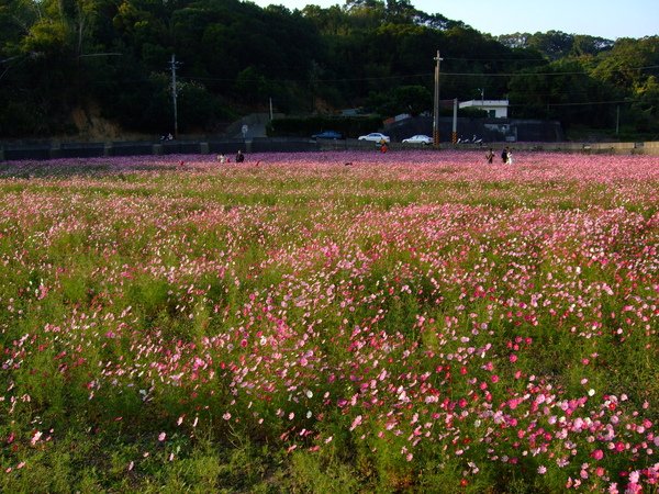 DSCF0009.JPG