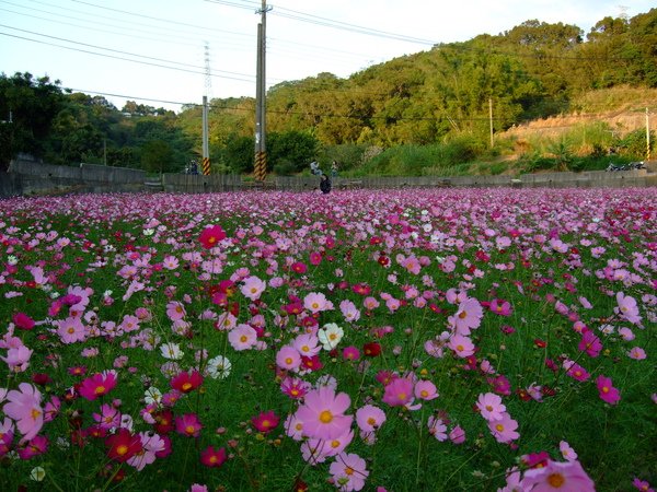 DSCF0039.JPG