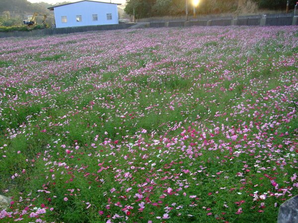 DSCF0052.JPG