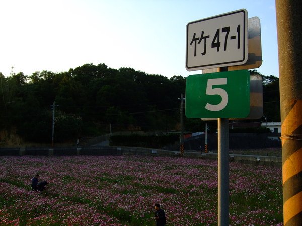 DSCF0059.JPG
