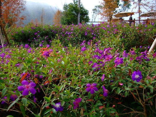 DSCF0146.JPG