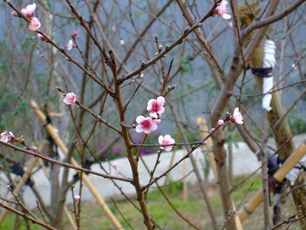 DSCF0172.JPG