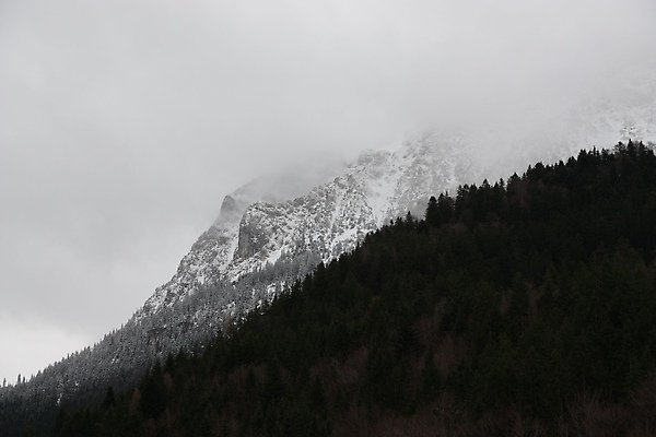 IMG_4544.JPG