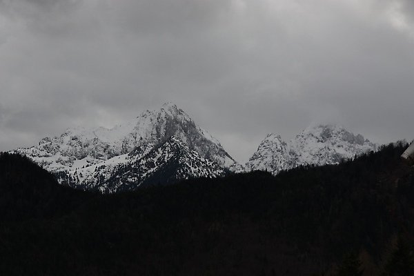 IMG_4599.JPG