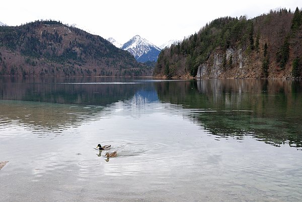 DSC_5794_1.jpg