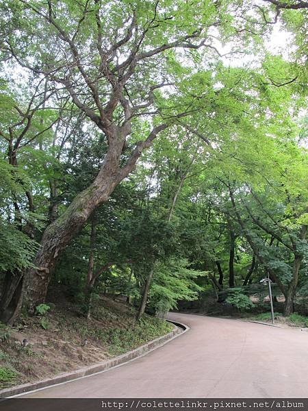 secret garden 07