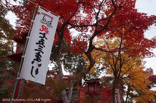 02-鍬山神社 07.JPG
