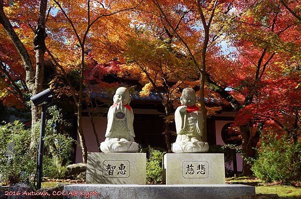 03-永觀堂(日)-09.JPG