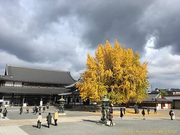 東西本願寺 06.JPG