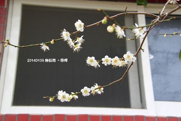 _MG_7070