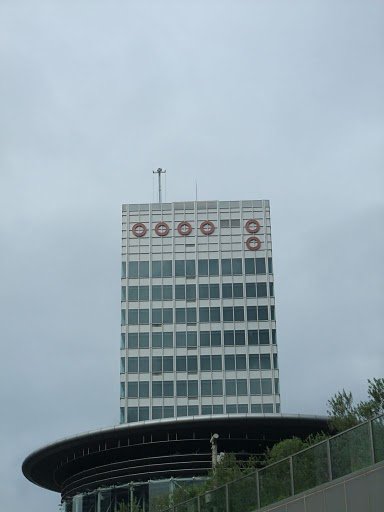 DSCF6982.JPG