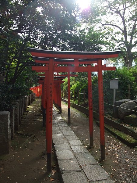 DSCF4153.JPG