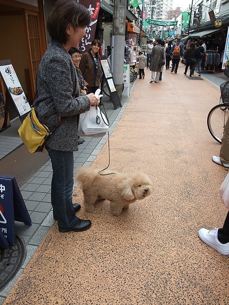 DSCF4252.JPG