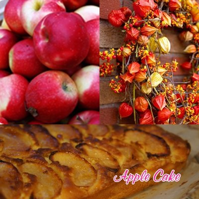 apple cake 5