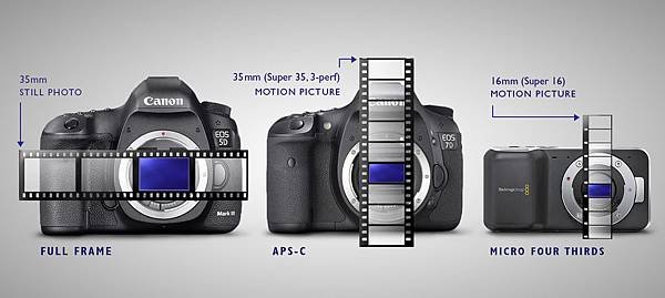 Full-Frame-vs-Crop-APS-C.jpg
