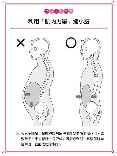 縮肚