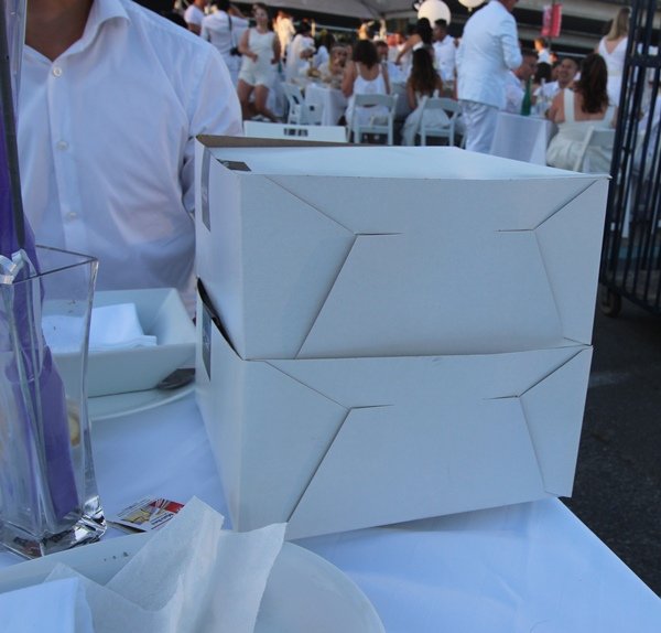 dinner-en-blanc016.JPG