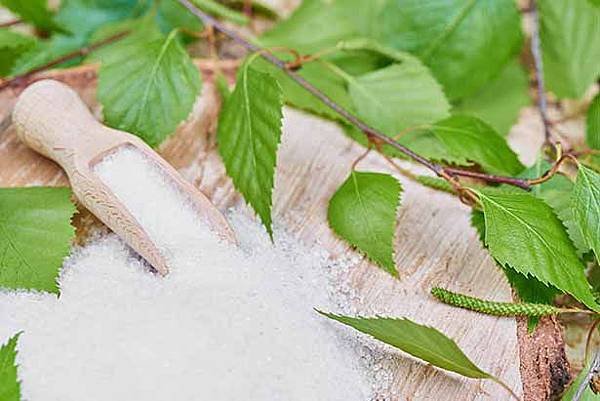 xylitol-erythritol-stevia.jpg