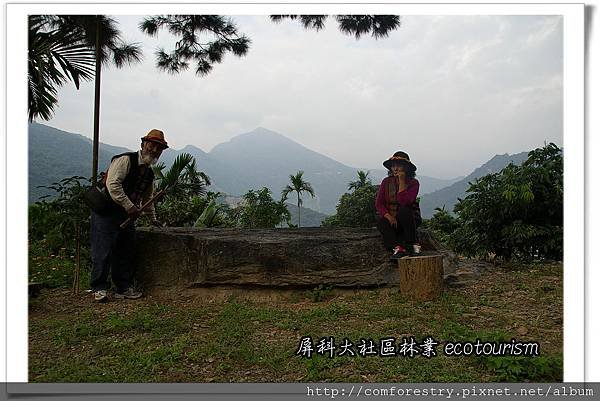 P05.jpg