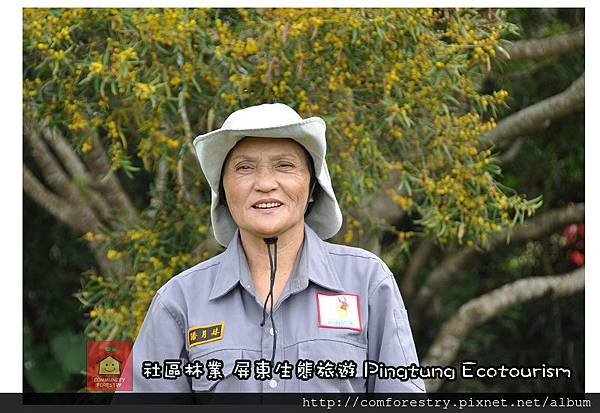 潘月妹