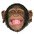 009.gif