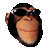 007.gif