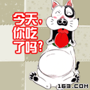 062.gif