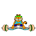 100.gif
