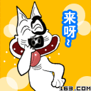 085.gif