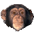 006.gif