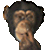 004.gif