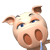 017.gif