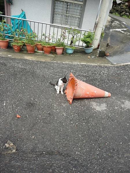 100.07.03 打雷下雨還是要衝小琉球!-30