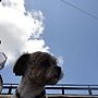 100.07.03 打雷下雨還是要衝小琉球!-51