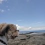 100.07.03 打雷下雨還是要衝小琉球!-66