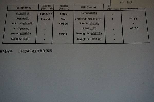 106.09.30四喵大檢查