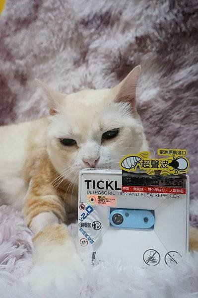 ［用品／犬貓］適合生病毛孩的驅蟲好物 Tickless蝨止王